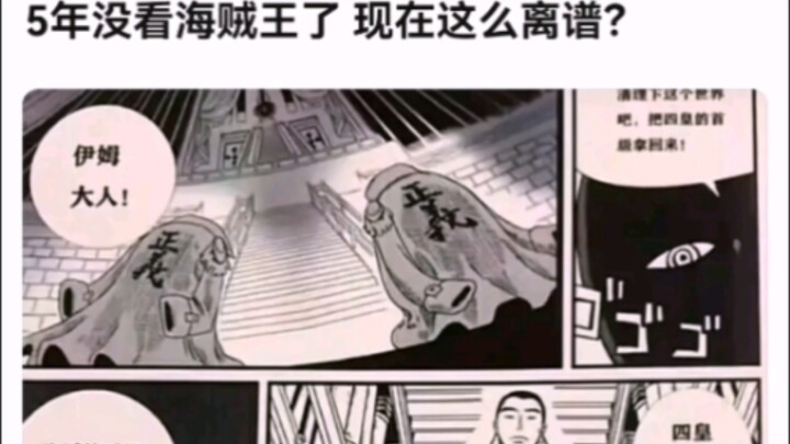 5年没看海贼王了 现在这么离谱？【海贼王】