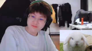 Meiko | Real-life footage of Little Rabbit washing its face with 100% similarity ꪔ̤̥ꪔ̤̮ꪔ̤̫