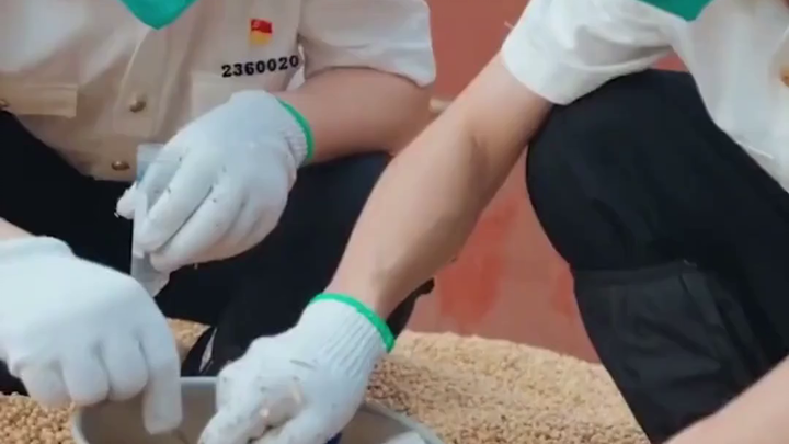 China Customs: Safeguarding the National Gate—Balancing Biodiversity and Security