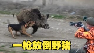 Hitting the pig