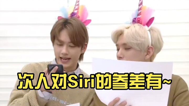 【SEVENTEEN】 ردود أفعال الأشخاص المختلفة تجاه سيري: "مهلاً، سيري!"