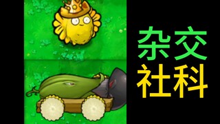 สมมติว่าใช้พืชลูกผสมศึกษาความทันสมัยในรูปแบบของเหลว