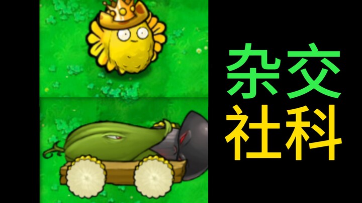 假如用杂交植物学习液态现代性