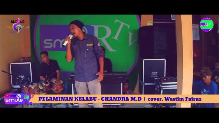 Pelaminan Kelabu - Mansyur S | cover. Wastim Fairuz | Cek Sound NLS