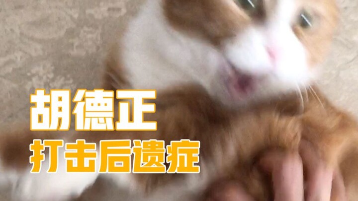 Tiểu Mimi của Papi Giả: Dì Khương vui mừng đón nhận di chứng sau khi bị Hu Dezheng “đánh”, Tiểu Mimi