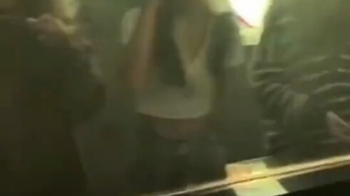 تصميم جلد البقر