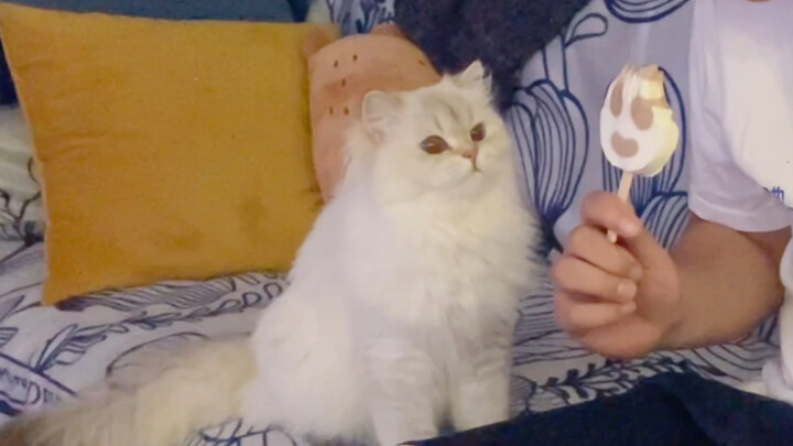 อายุสองขวบแล้ว แต่ยังเหมือนเด็กน้อยอยู่เลย