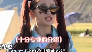 "极限挑战宝藏行 "虞书欣 这小嘴是抹了蜜吧~"人间真实 "搞笑