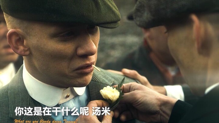 John: Tôi đâu có cưới một cô gái hái nấm đâu