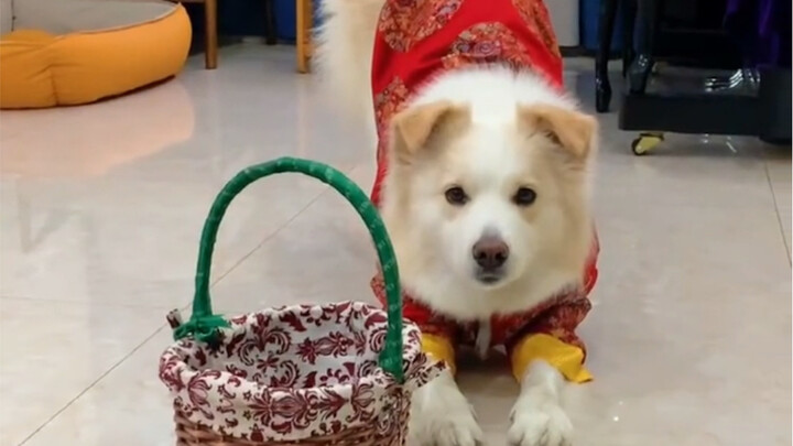 Time flies—before we know it, it’s almost the end of the year. What do you guys think? Should we sti