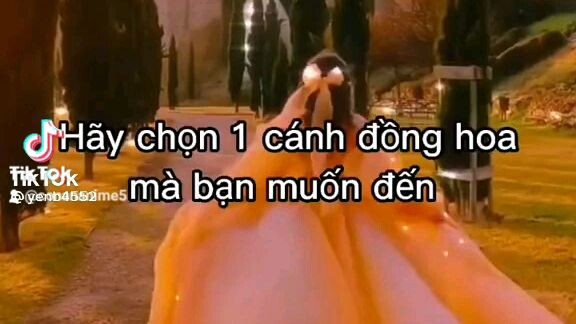 Hãy chọn một cách đồng hoa mà bạn muốn đến