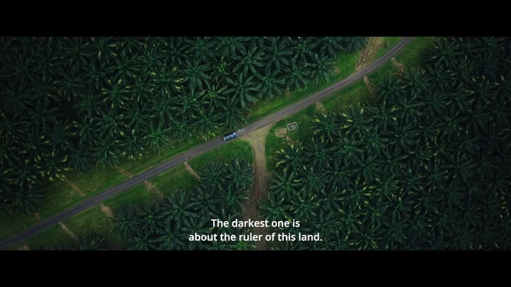 janur iren