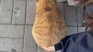 เจตนาดีทั้งหมด คำพูดร้ายทั้งหมด