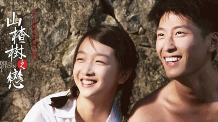 Chuyện Tình Cây Táo Gai (Under the Hawthorn Tree) Vsub