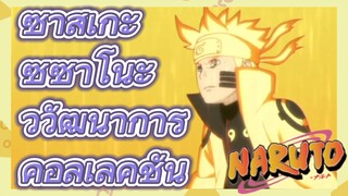 ซาสึเกะ ซูซาโนะ วิวัฒนาการ คอลเลคชั่น