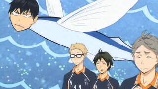 Playing volleyball is a side job, and being cute is my main job.