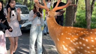 网友：瑞幸老总，视察工作！