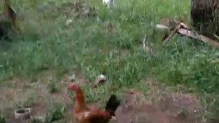 pobreng M.cored area