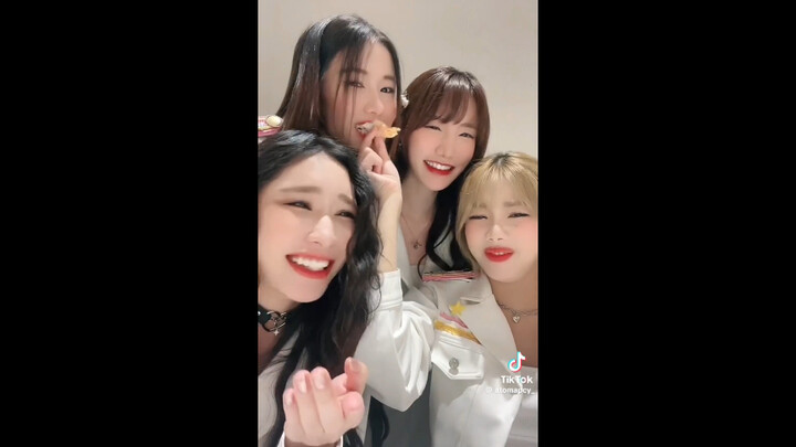 【学姐 爱我可以吗】什么修罗场啊 你们几个有点超过了