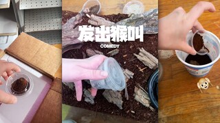 这是看见虫子后会发出的真实声音😱