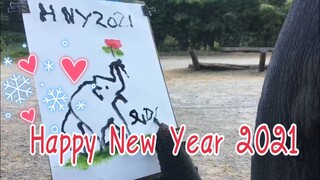 🙏Happy New Year 2021🙏สวัสดีปีใหม่ครับทุกคน🙏