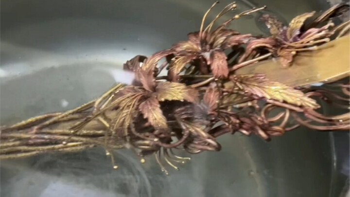 What! A certain Zan Niang who sells swords has made 10 million in one year and is planning to run aw