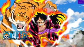 海贼王专题#1189: 龙争虎斗，吃定鱼凯多的老虎路飞！