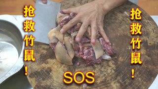 【倒放】抢救被煮熟受伤的竹鼠，讲解美食家王刚的《竹笋烧煮熟》