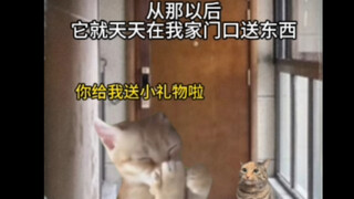 A cat's repayment of kindness—motherly love in all living things is truly great.