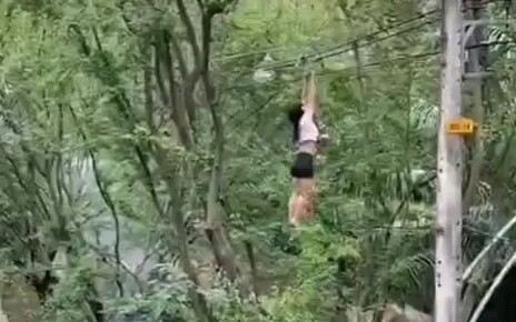 Beauty climbs the tree herself to save a cat and unfortunately falls down.