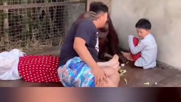 Lão trung y trong vườn thú hôm nay đang khám bệnh