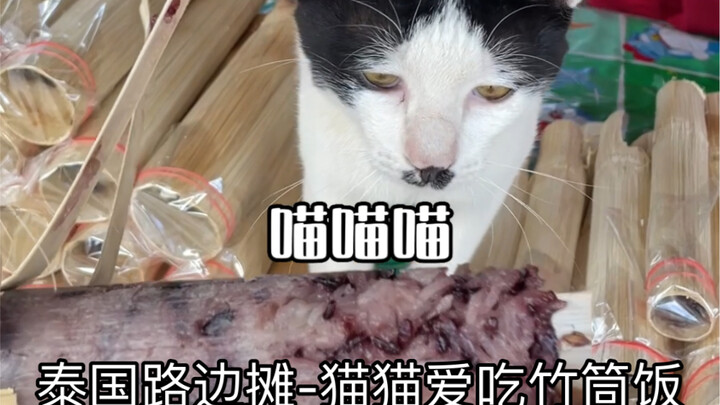 Thai Street Food Stall – Cats Love Bamboo Rice