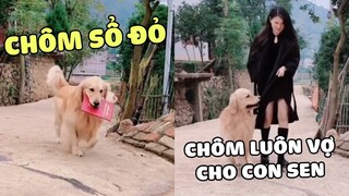 GÂU ĐẦN | Thánh Chôm Đồ Nỗi Ám Ảnh Của Xóm | Yêu Lu