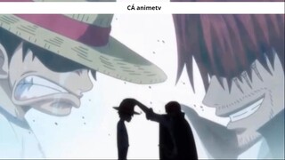 Những chi tiết _thánh_ Oda đã rãi nhằm cảnh báo về cái chết của Shanks ! 6