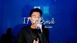 IF - Bread (Cover) | Dave Carlos