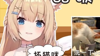 【Watching Cats in Three Minutes】Cool Carbon! What are you doing!!!