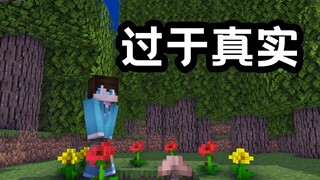 我的世界模组生存中过于真实的几个瞬间