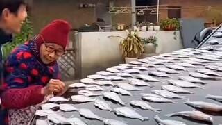 给孙子乐的笑抽了