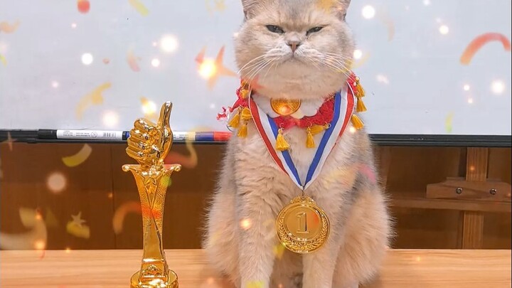 ไม่มีใครปฏิเสธโชคลาภมหาศาลแบบนี้ได้หรอก