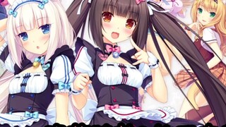 NEKOPARA Vol.1 (Cat Girl Paradise) คุณสมบัติที่ซ่อนอยู่และวิธีติดตั้งแพตช์