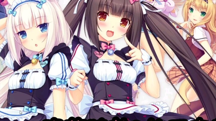 NEKOPARA Vol.1 (حديقة القطط) دليل تثبيت الدعم والوظائف المخفية