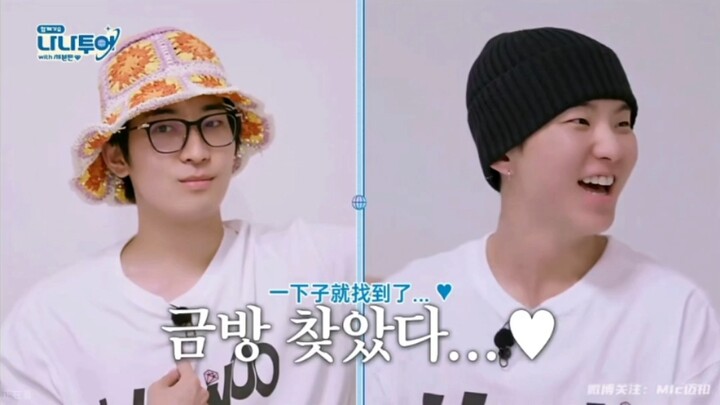 Dễ thương quá! Phải bật loop ngay! Xem ai mà không bị cute đến phát điên!