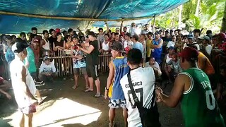 Tinola line