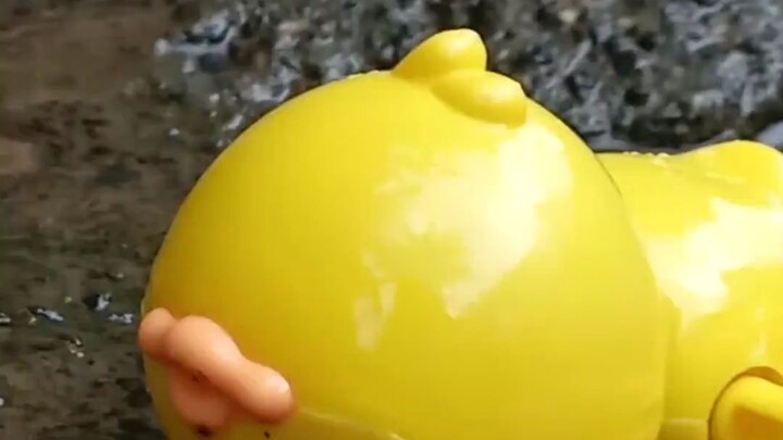 terdampar di sungai terpencil