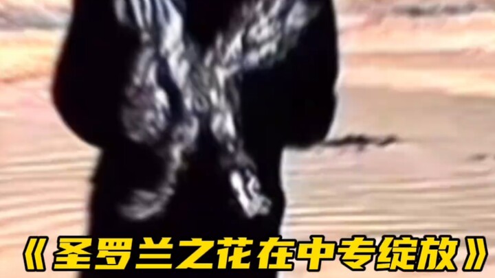 I’m not into guys or girls—I just want to create something equal for everyone.