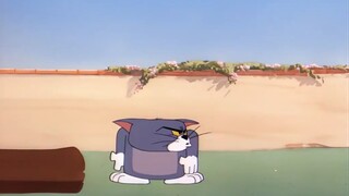 ☝️🤓 حزمة مضغوطة⚡⚡⚡