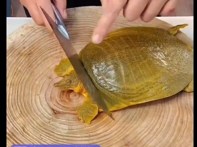 Tips kehidupan sehari-hari?