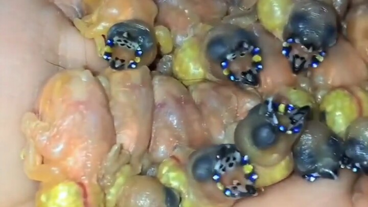 It was really disgusting when I was little.