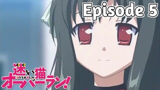 Stray Cats Overrun! - Episode 5 (English Sub)