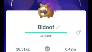 Pokémon GO-Purifying Shadow Bidoof